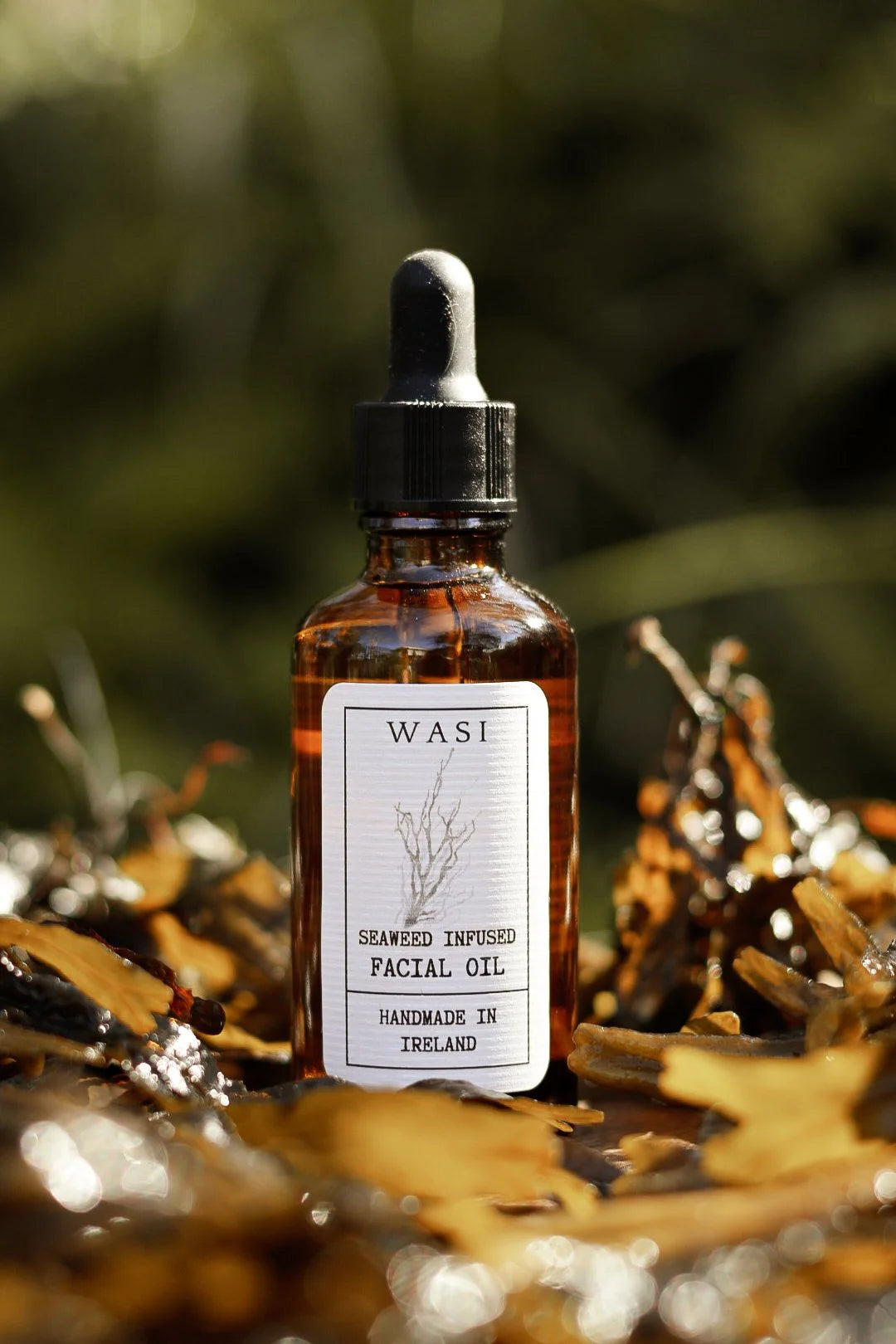 Seaweed infused facial oil