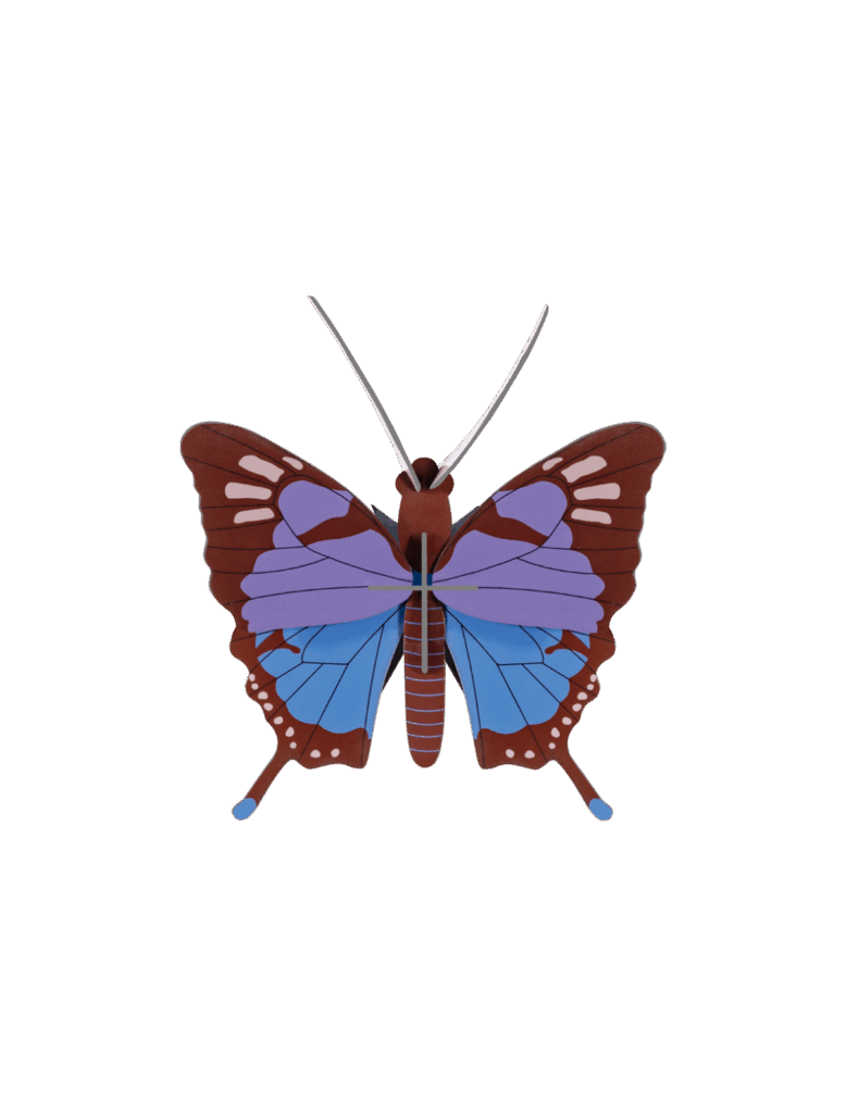 Crysalus Butterfly