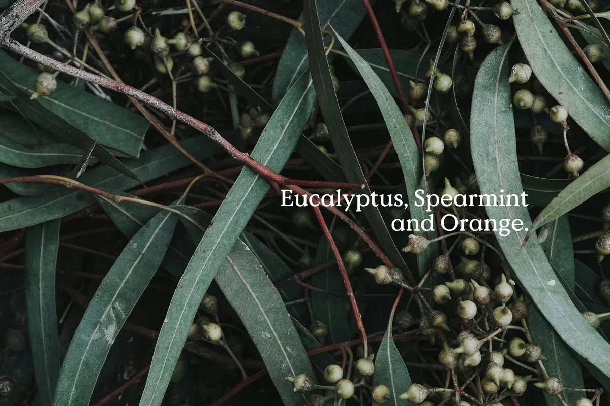 Christmas All Is Calm