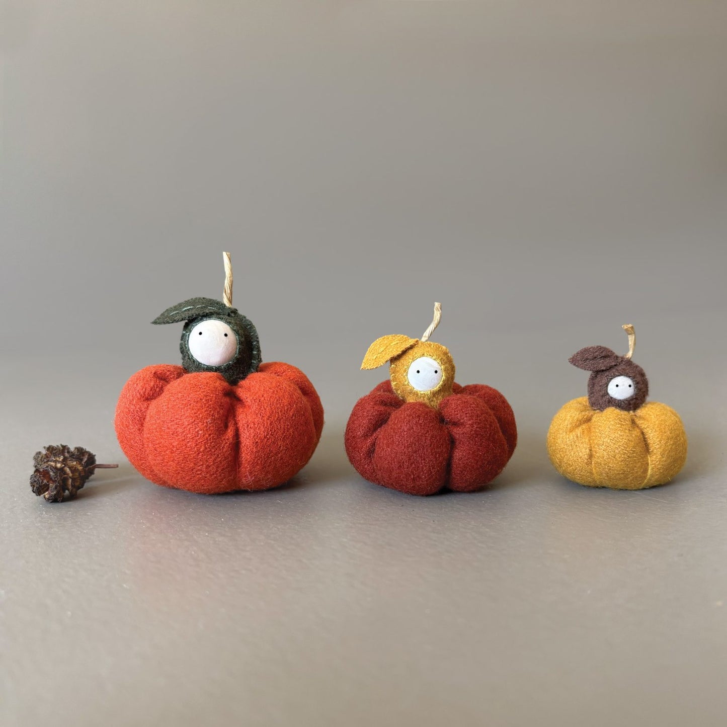 Mini baby pumpkin
