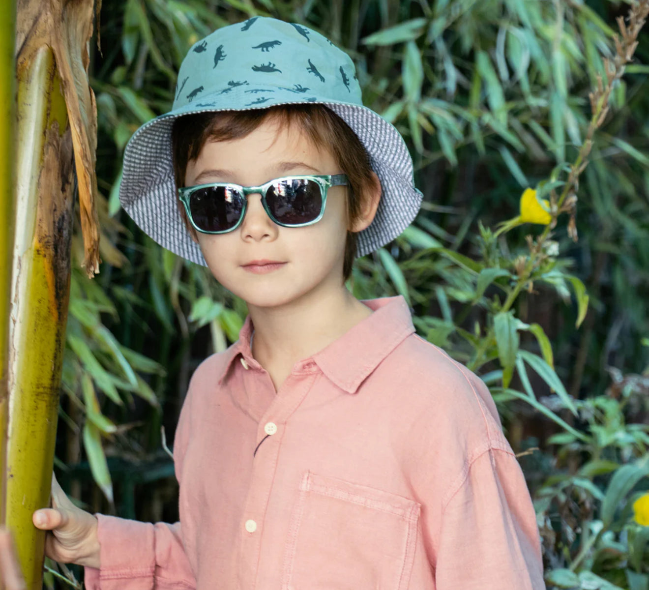 Dino sunnies