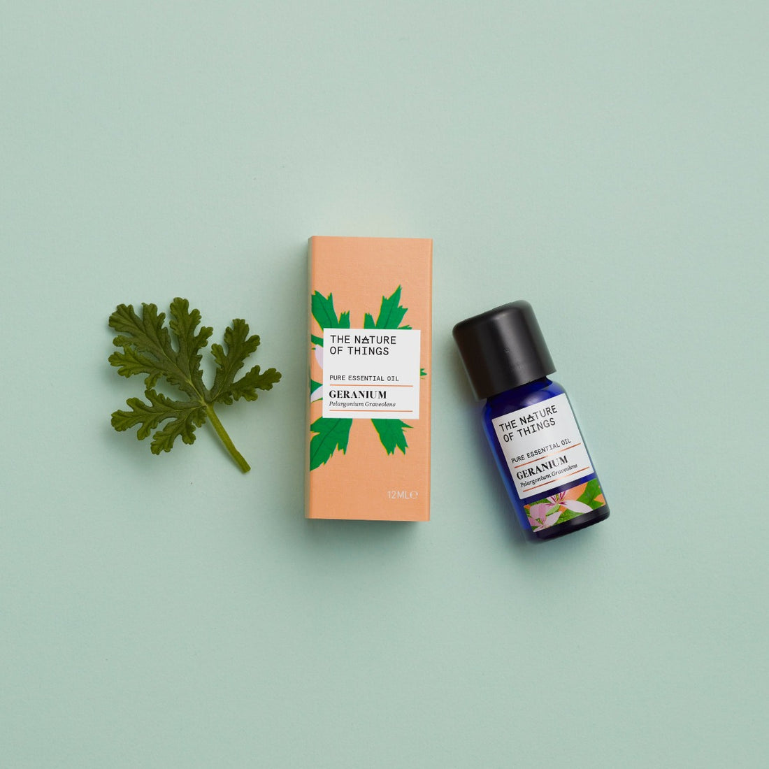 Geranium Essential Oil - The Nature of Things