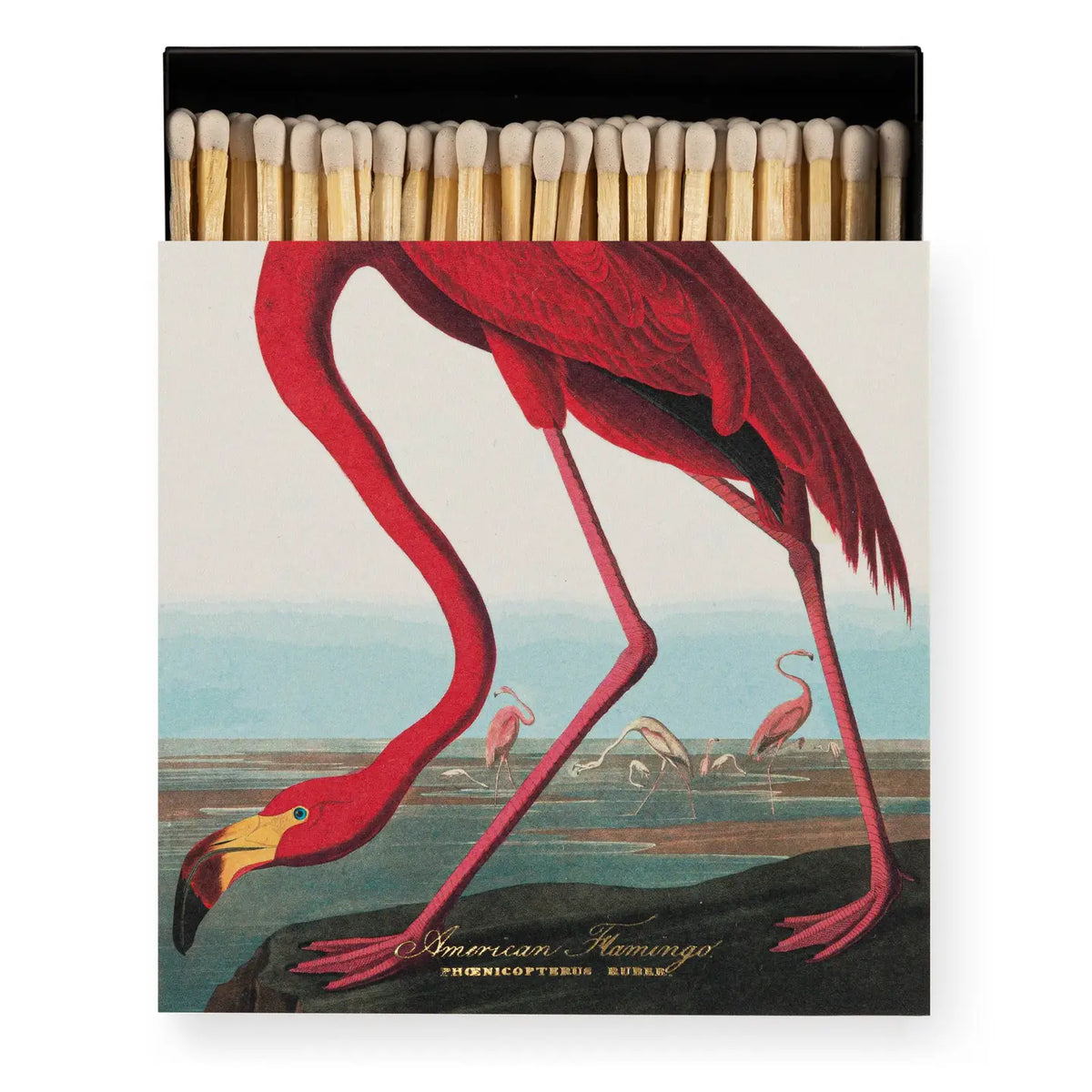 Flamingo Matches