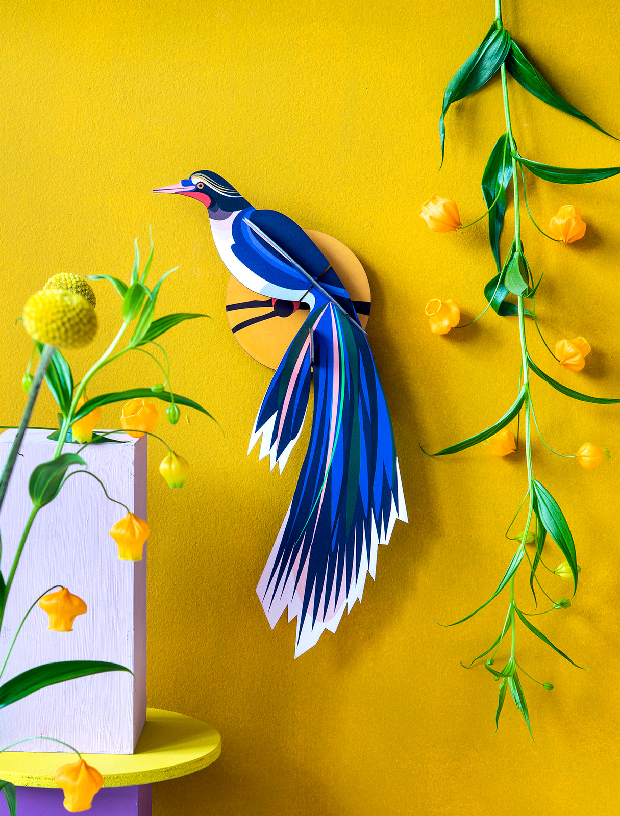 Flores Bird