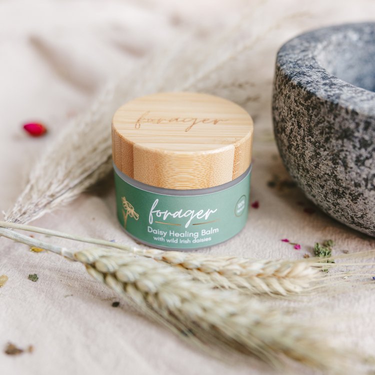 Daisy Balm - Forager