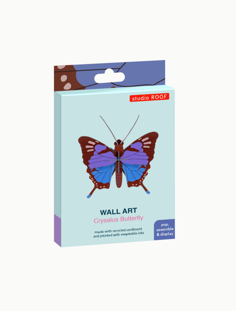 Crysalus Butterfly