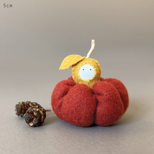 Medium baby pumpkin