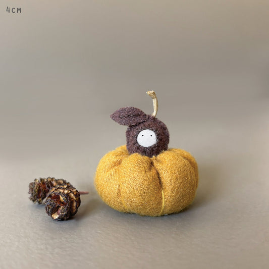 Mini baby pumpkin