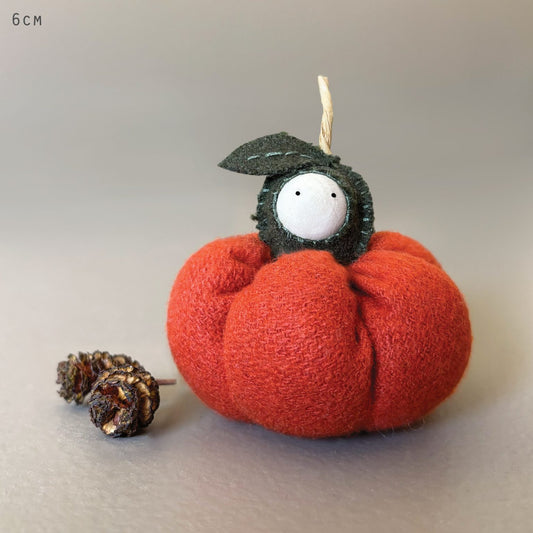 Large baby pumpkin