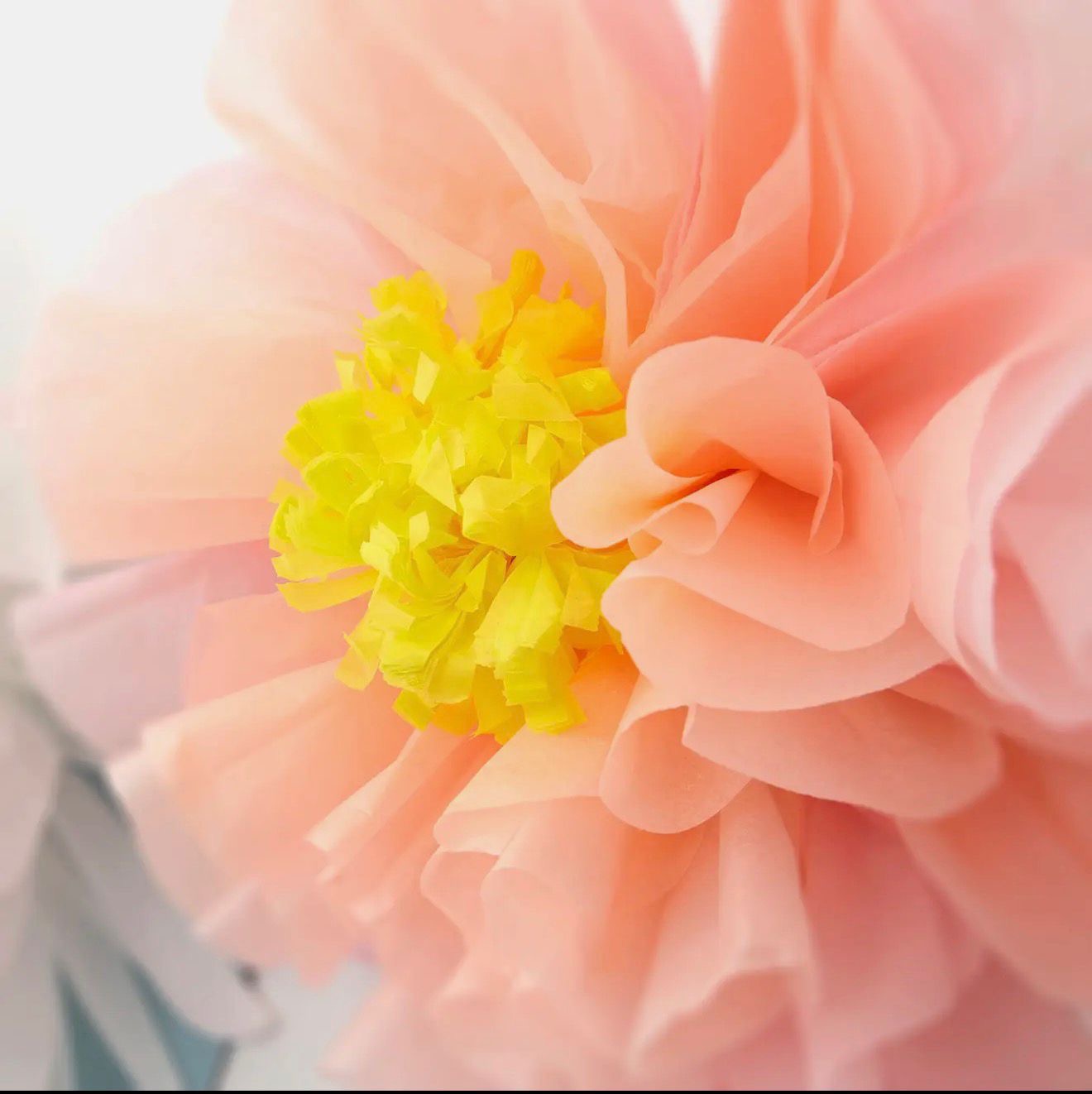 Giant paper flower garland