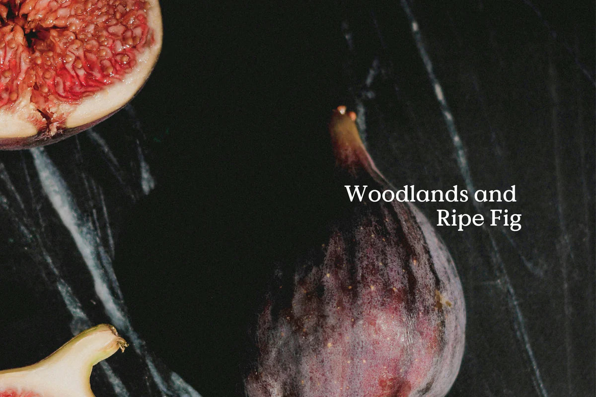 Forager Incense Cones