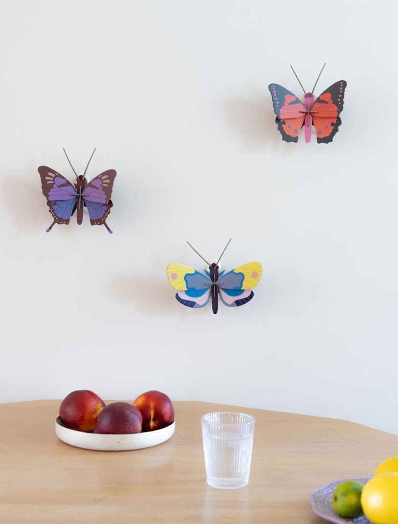 Crysalus Butterfly