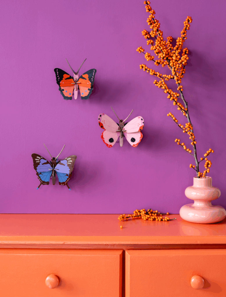Crysalus Butterfly