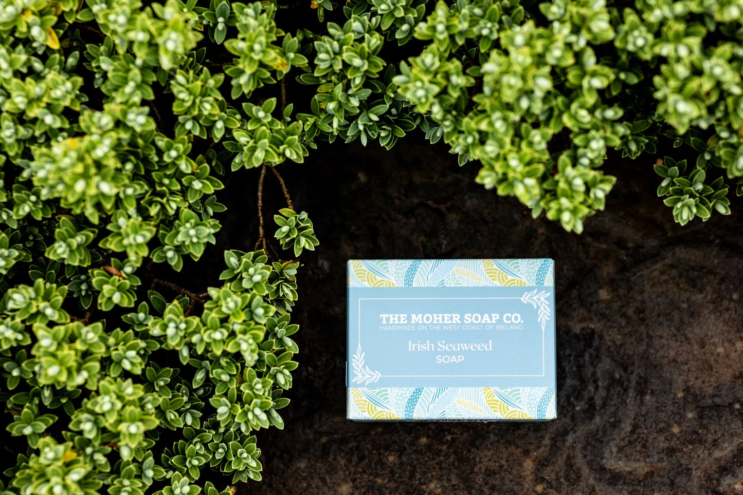 Soap bars The Moher Soap Co