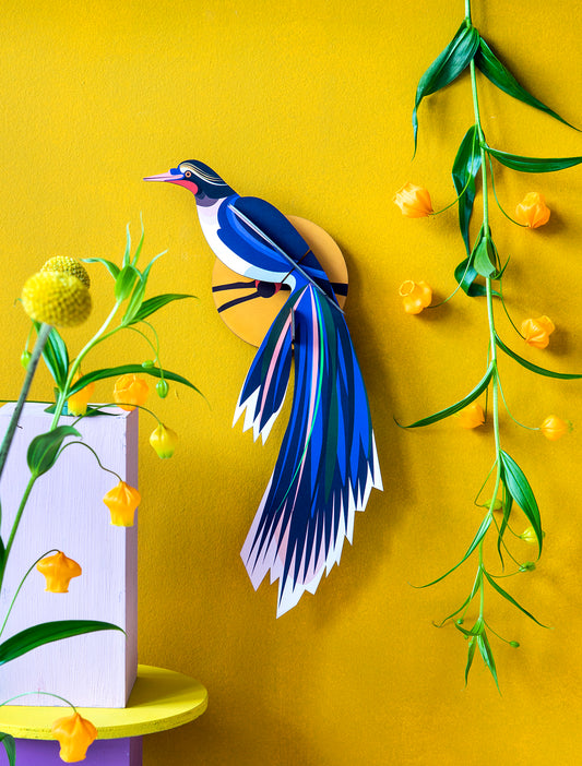 Flores Bird