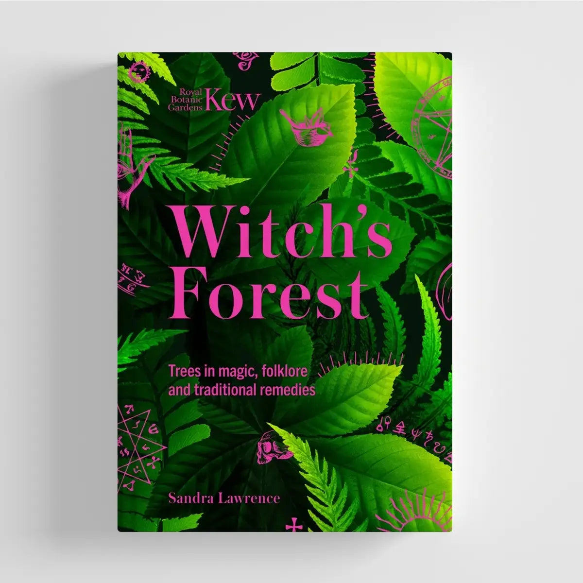 Witches forest